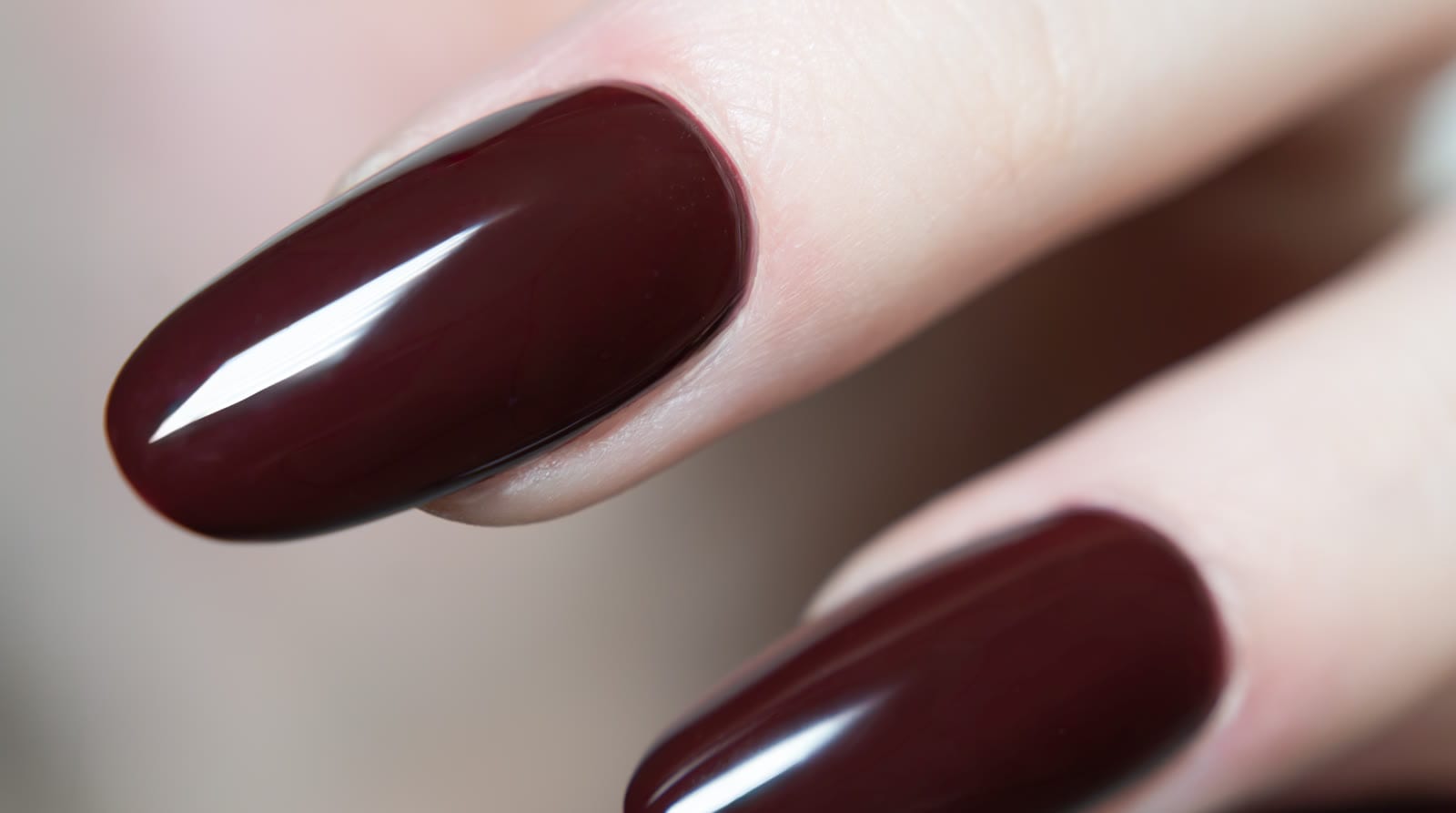 A close-up of a glossy oxblood manicure